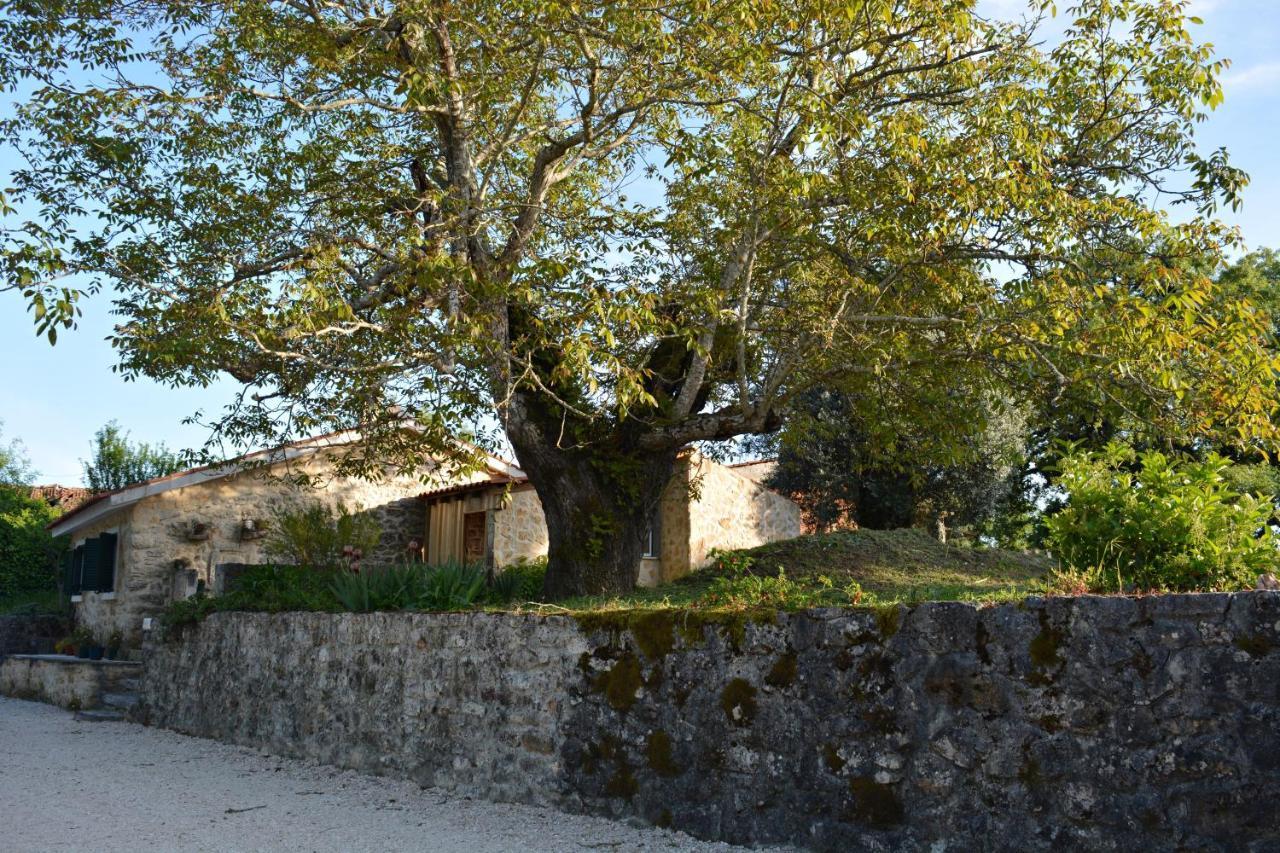 Casa Da Pedra Villa Ancião Eksteriør bilde