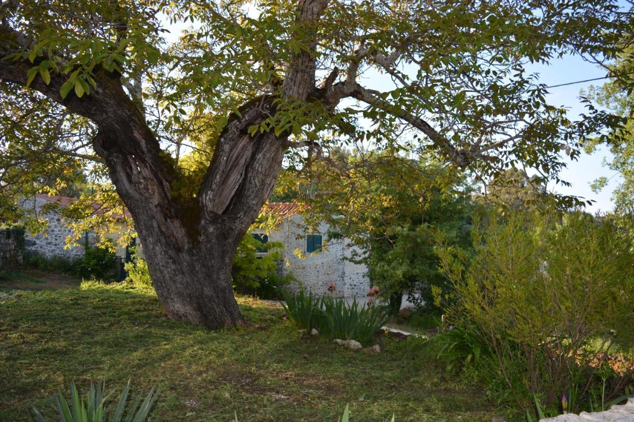 Casa Da Pedra Villa Ancião Eksteriør bilde